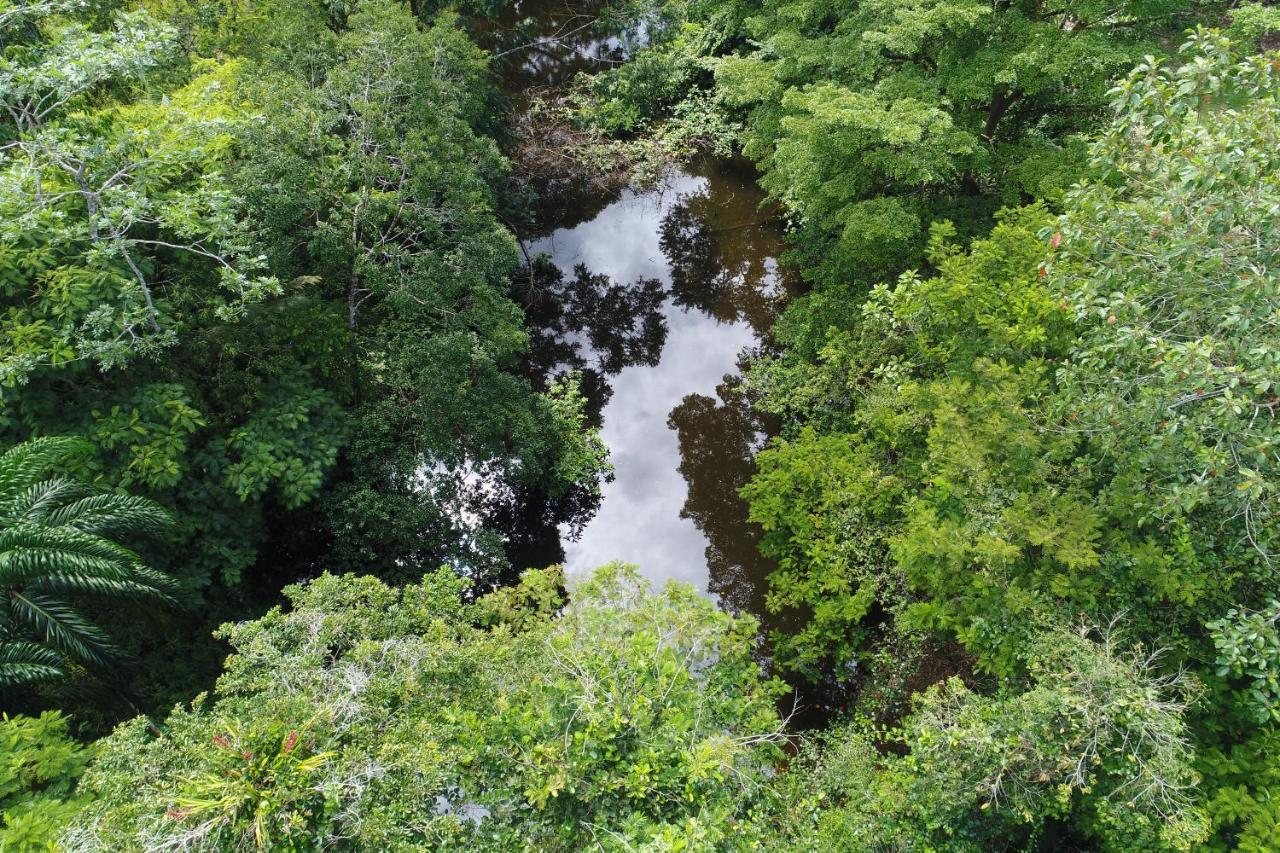 Hope Garden, Sarapiqui, We Connect You With The Sarapiqui Tropical Forest Exterior photo