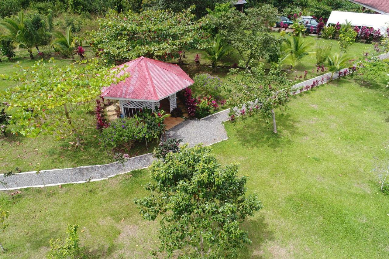 Hope Garden, Sarapiqui, We Connect You With The Sarapiqui Tropical Forest Exterior photo