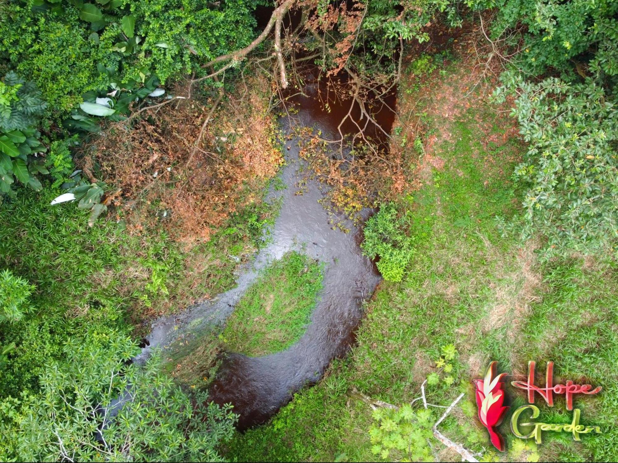 Hope Garden, Sarapiqui, We Connect You With The Sarapiqui Tropical Forest Exterior photo